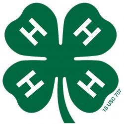 Image of 4-H Clover